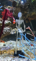 No Power Dancing Skull Aquarium Ornament Water Dance Skull Fish Tank Decor 3D Printed Movable Oxygen Ornament with 1m Air Tube