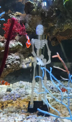 No Power Dancing Skull Aquarium Ornament Water Dance Skull Fish Tank Decor 3D Printed Movable Oxygen Ornament with 1m Air Tube