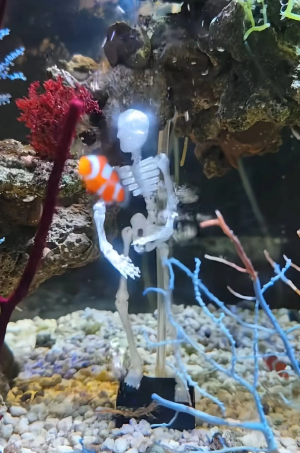 No Power Dancing Skull Aquarium Ornament Water Dance Skull Fish Tank Decor 3D Printed Movable Oxygen Ornament with 1m Air Tube